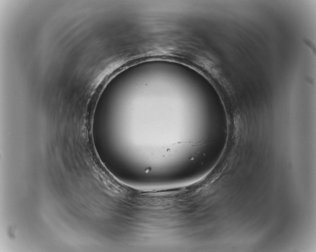 X0000100231308200805301404