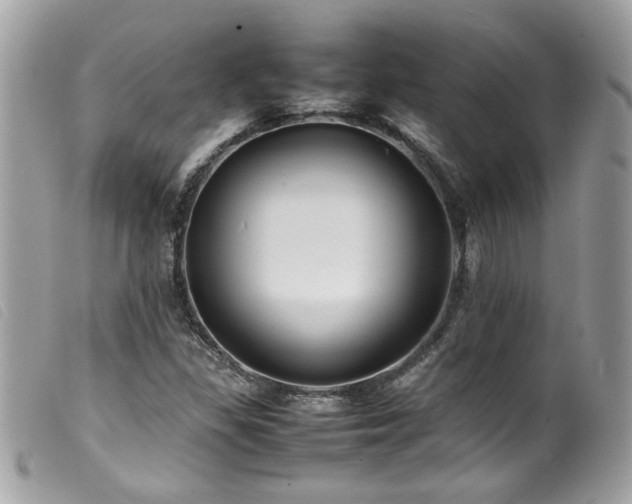 X0000100231309200805301404