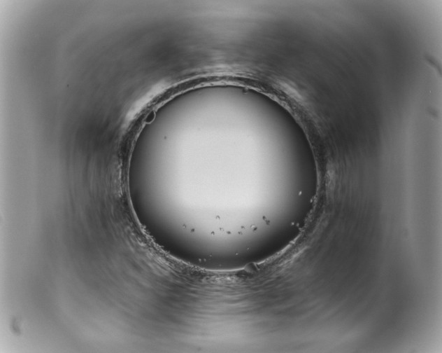 X0000100231310200805301404