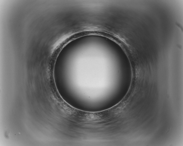 X0000100231311200805301404