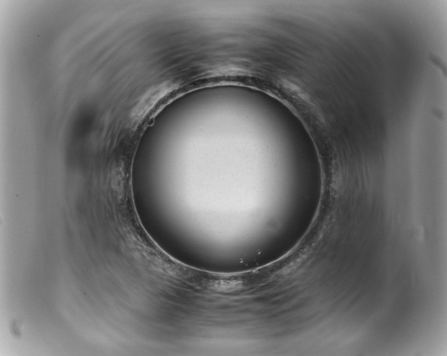 X0000100231313200805301404