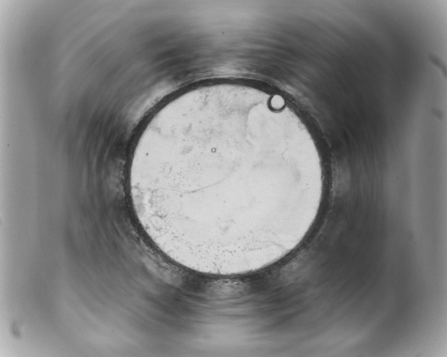 X0000100231314200805301404