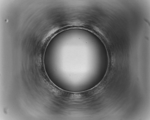 X0000100231315200805301404