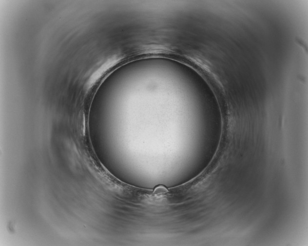 X0000100231317200805301404