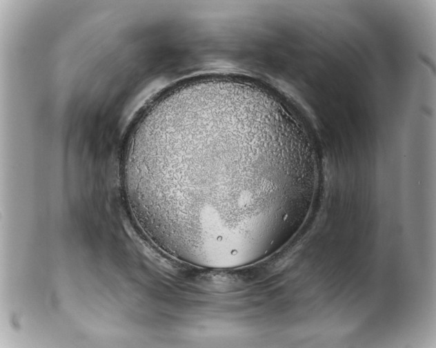X0000100231318200805301404