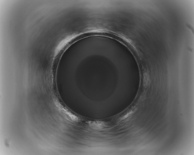 X0000100231319200805301404
