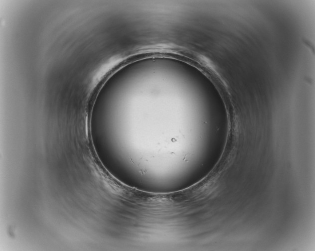 X0000100231320200805301404