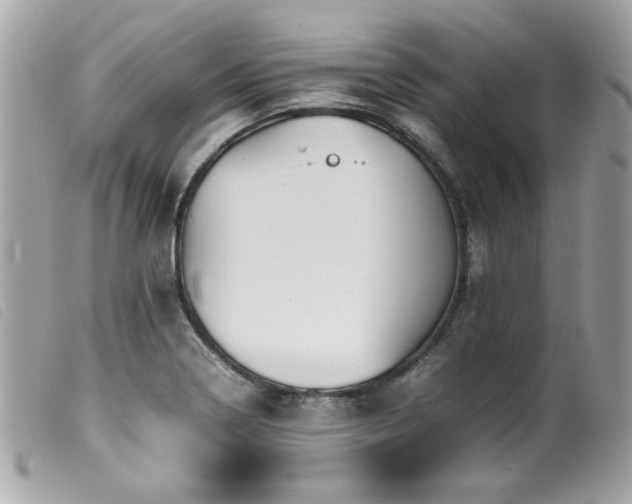 X0000100231322200805301404