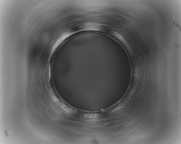 X0000100231323200805301404