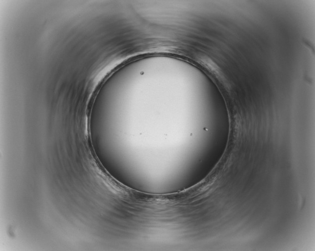 X0000100231324200805301404