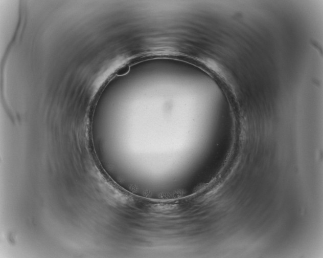 X0000100231325200805301404
