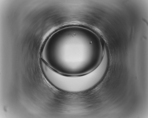 X0000100231326200805301404
