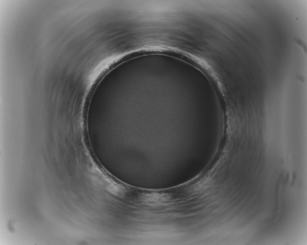X0000100231327200805301404