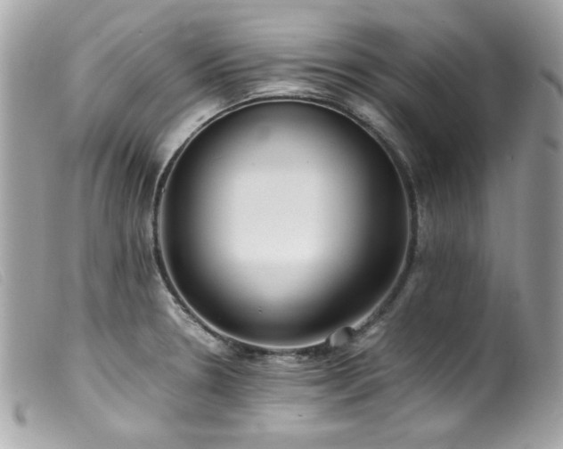 X0000100231330200805301404