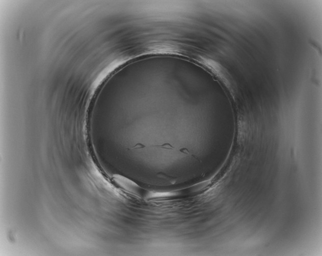 X0000100231331200805301404