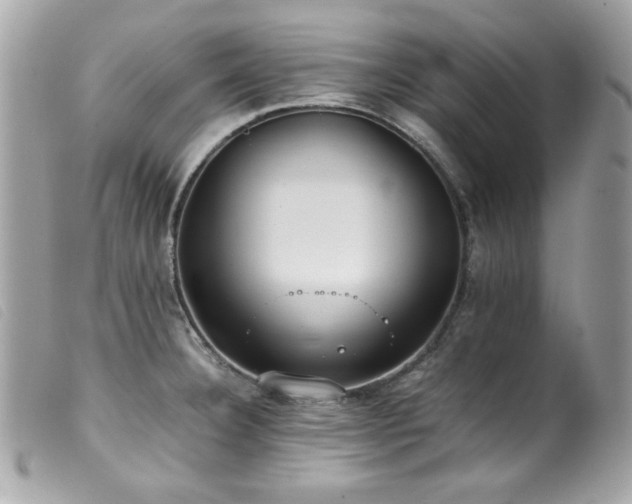 X0000100231332200805301404