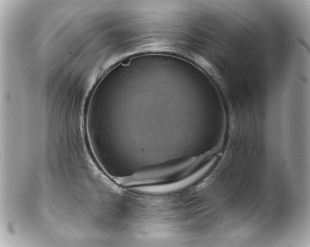 X0000100231334200805301404