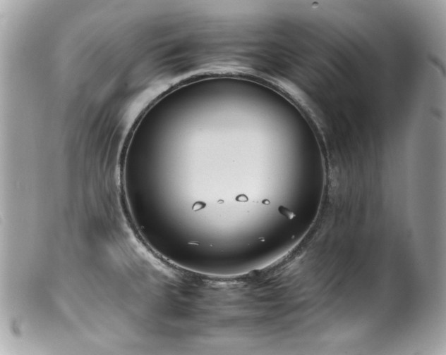 X0000100231335200805301404
