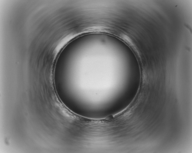 X0000100231336200805301404