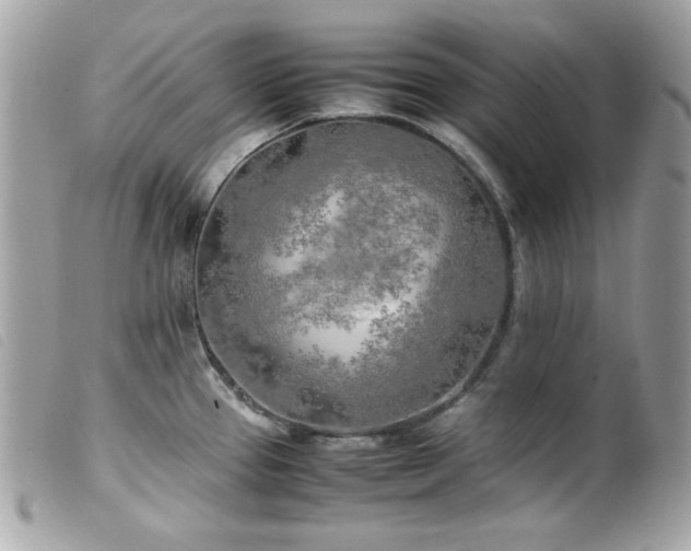 X0000100231337200805301404