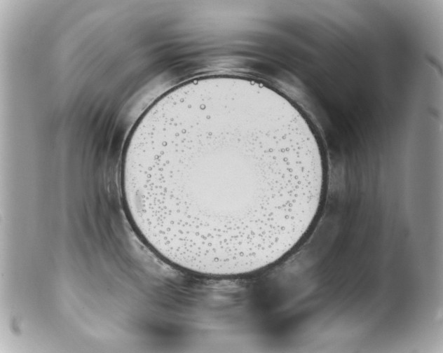 X0000100231338200805301404
