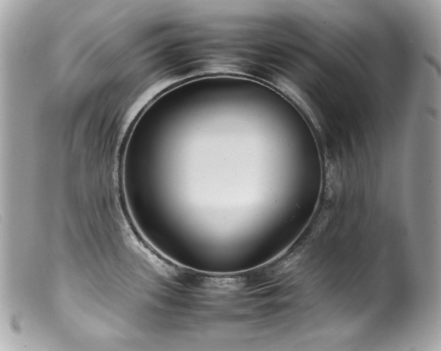 X0000100231339200805301404