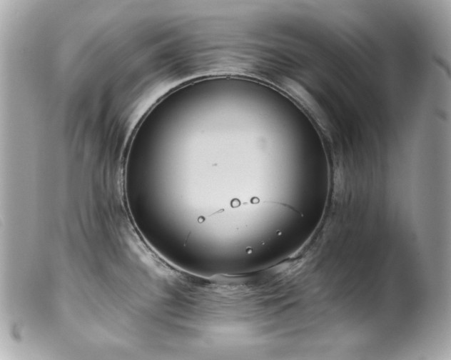 X0000100231340200805301404