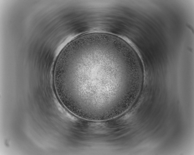 X0000100231341200805301404