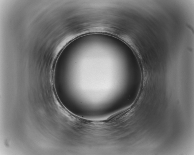 X0000100231342200805301404