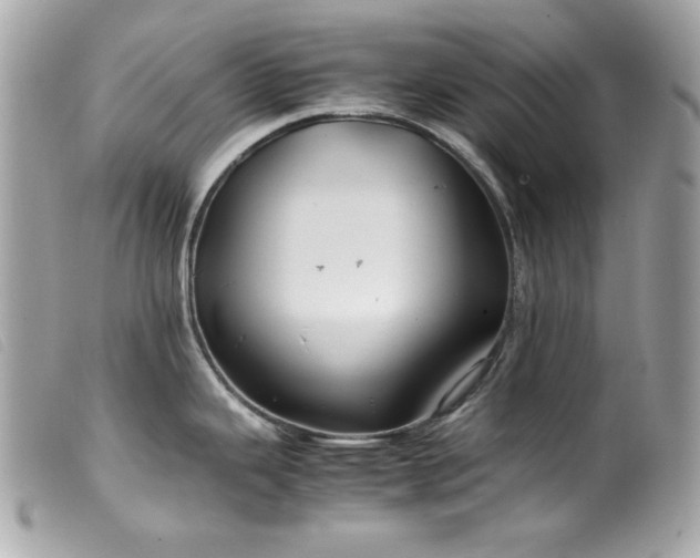 X0000100231343200805301404