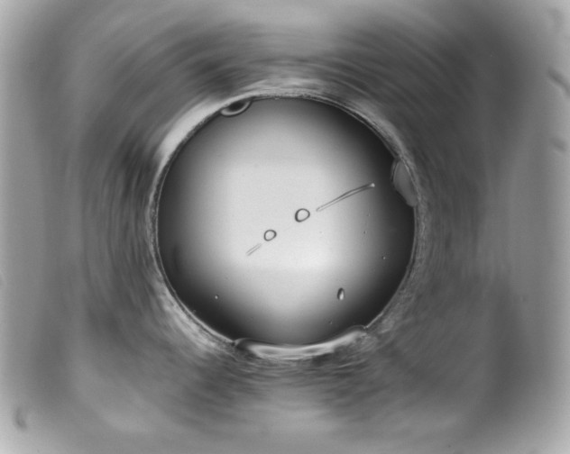 X0000100231344200805301404
