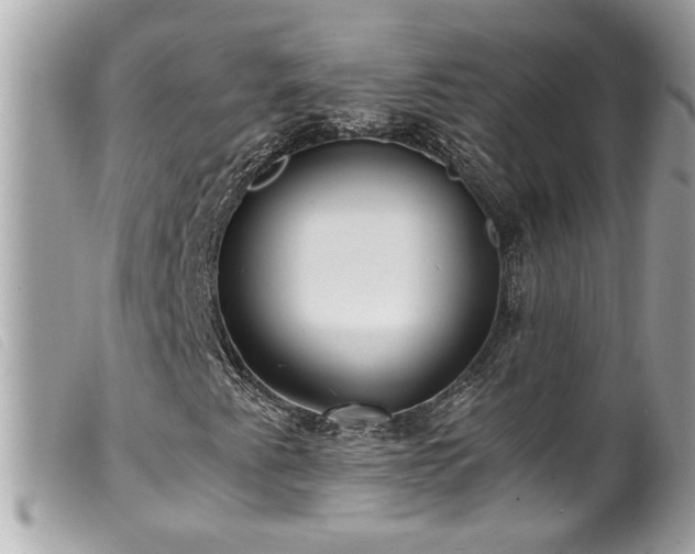 X0000100231345200805301403