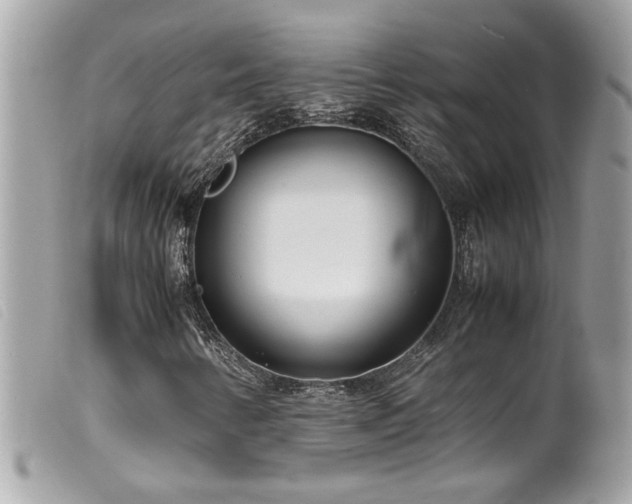 X0000100231346200805301403
