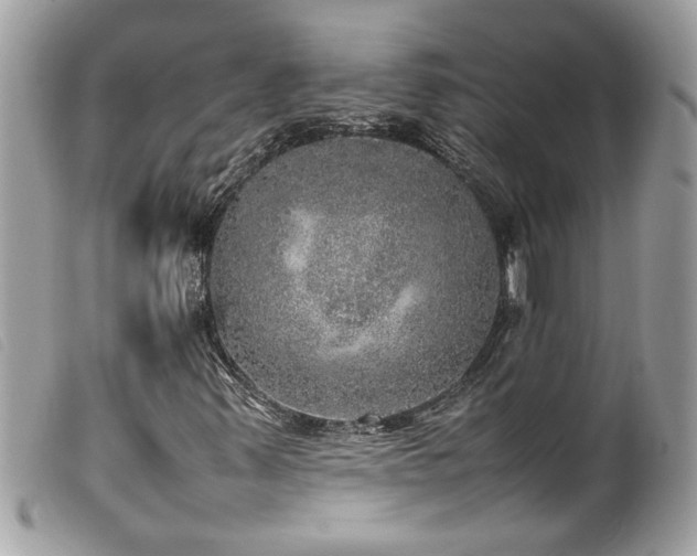X0000100231347200805301403