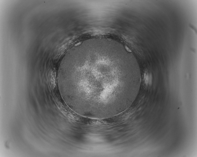X0000100231348200805301403