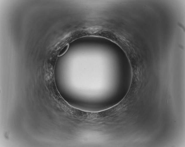 X0000100231349200805301403