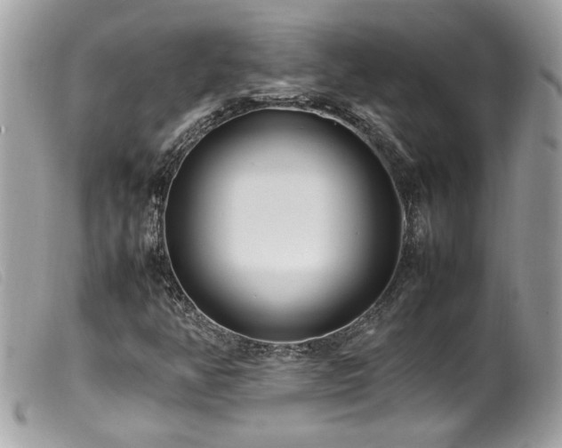 X0000100231350200805301403