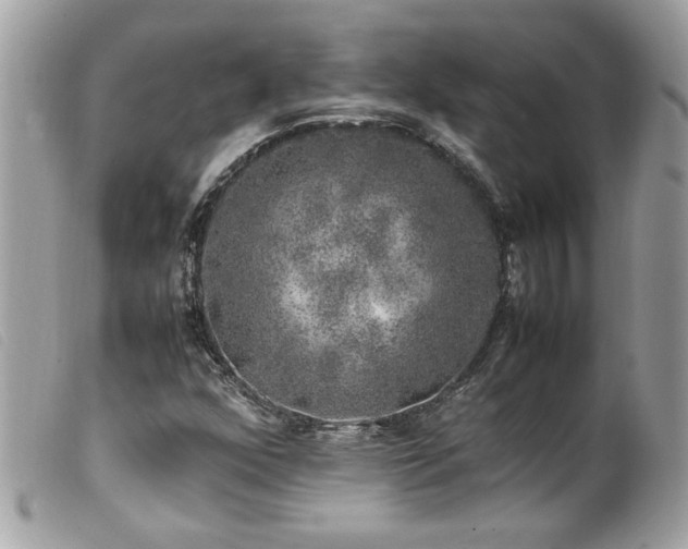 X0000100231352200805301403