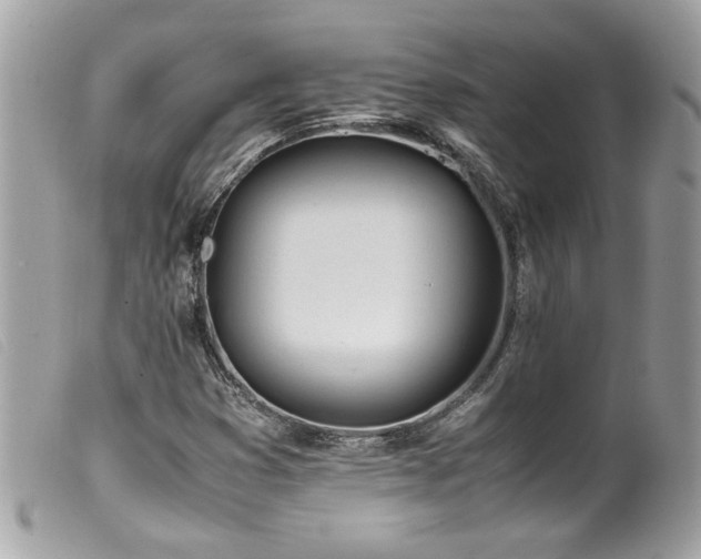 X0000100231353200805301403