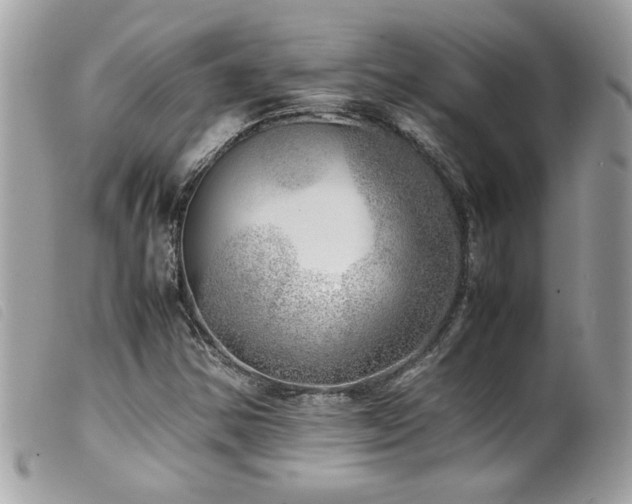 X0000100231354200805301403