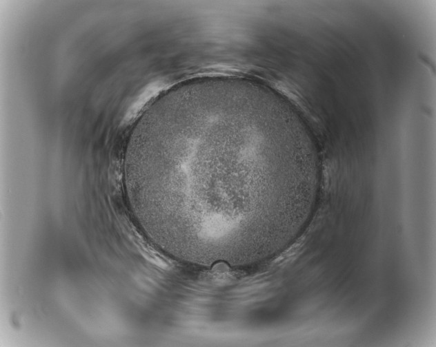 X0000100231355200805301403