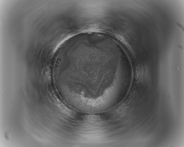 X0000100231356200805301403