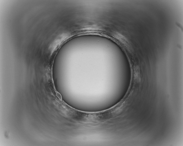 X0000100231357200805301403