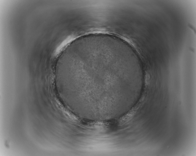 X0000100231359200805301403