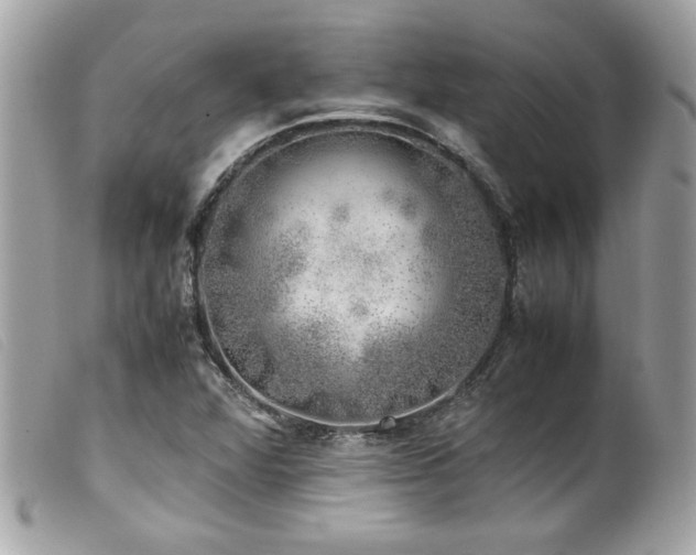X0000100231360200805301403
