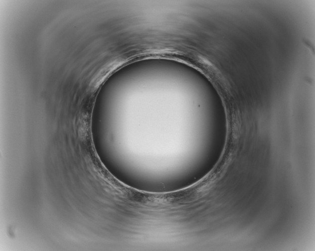X0000100231361200805301403