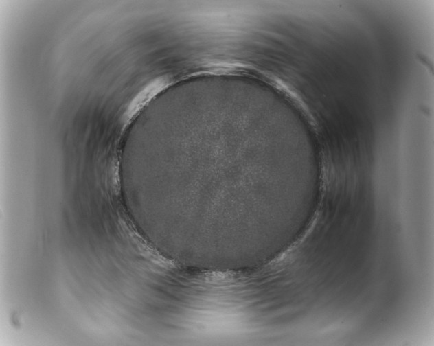 X0000100231362200805301403