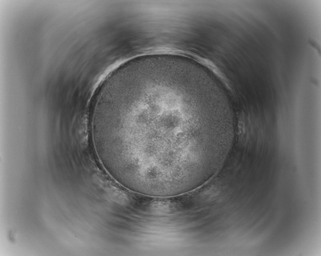 X0000100231364200805301403