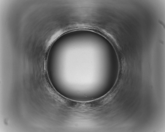 X0000100231365200805301403