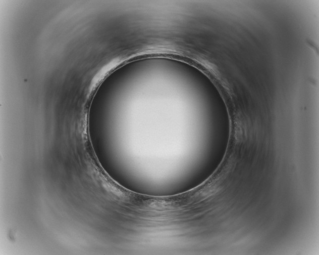 X0000100231366200805301403